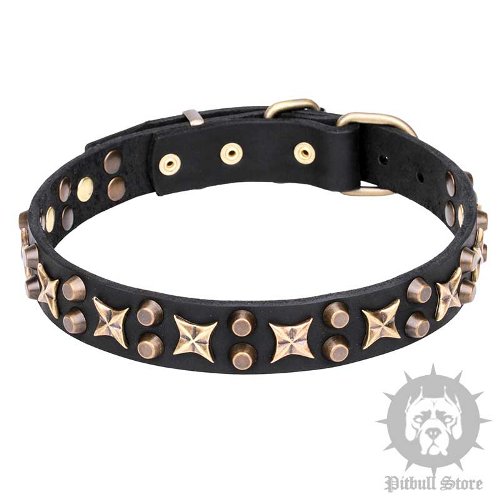 Dog Collar for Pitbull, Staffy of Leather with Stars and Cones