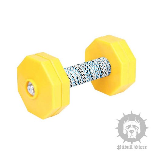 Dog Obedience Dumbbell with 4 Yellow Plastic Weight Plates, 1 Kg