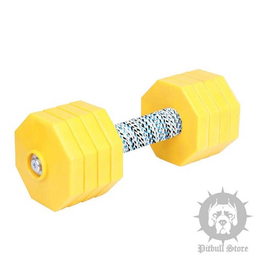 Dog Training Dumbbell with 8 Yellow Plastic Weight Plates, 2 kg