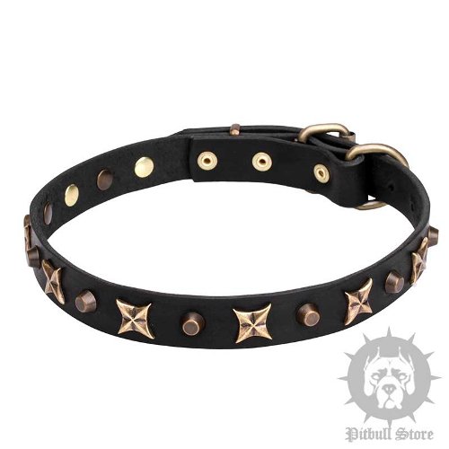 Leather Pitbull Collar with Old Bronze-Plated Stars and Cones
