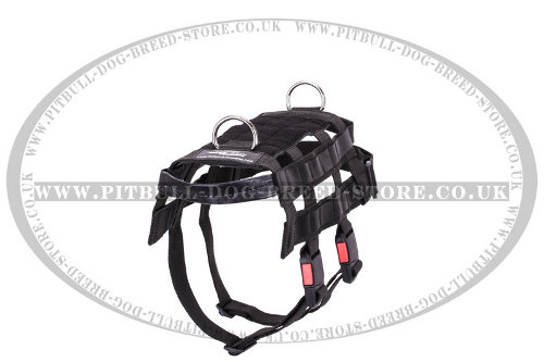 Military Police Dog Harness for Staffy and Pitbull - Click Image to Close