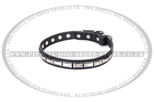 Staffy Leather Dog Collar "Refined Classic" FDT Artisan