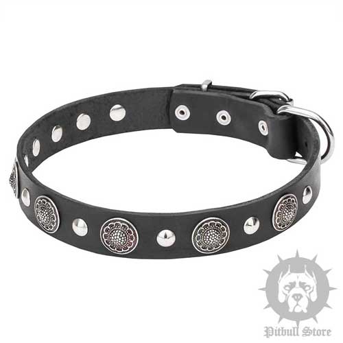 Great Vintage Dog Collar with Round Engraved Studs