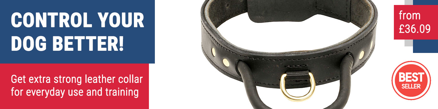 Agitation Dog Collar of Leather for Amstaff & Bull Terrier
