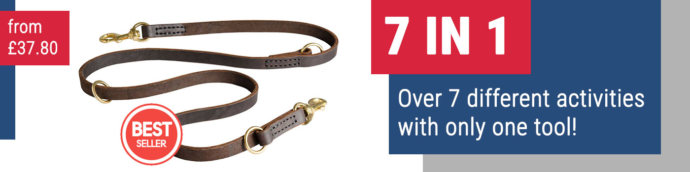 Leather Multi Functional Dog Lead, 3/4
