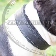 Bestseller! Soft Leather Dog Collar Felt Padded for Amstaff